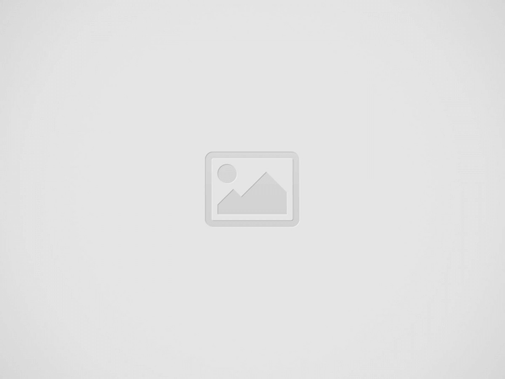 Ditto 클립보드 관리자 메인 인터페이스가 보이는 스크린샷 - 복사한 항목들이 시간순으로 정렬된 모습